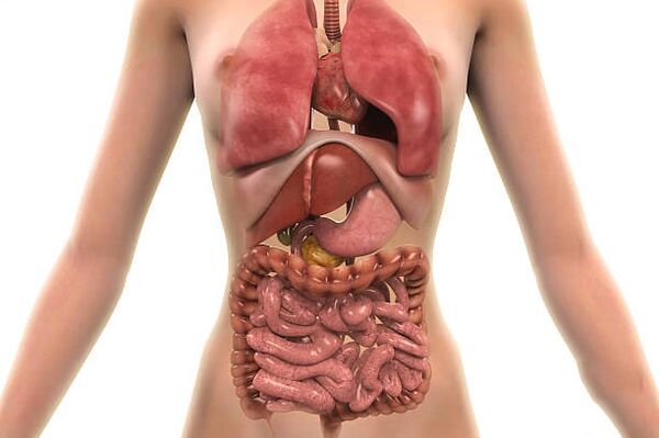 Παράσιτα στο ανθρώπινο σώμα