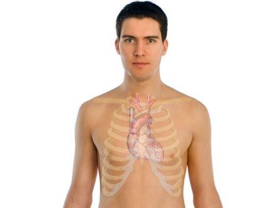 πώς τα παράσιτα επηρεάζουν τα ανθρώπινα όργανα